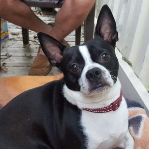 Meet your Posher, Trina